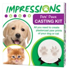 Paw Casting Kit