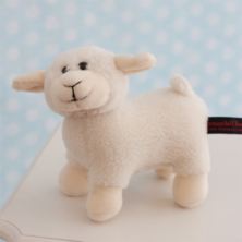 Cuddly Lamb