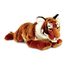 Large Tiger