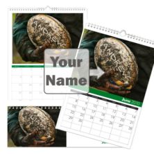 Personalised Rugby Calendar
