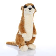 Meerkat