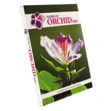 Grow Your Own Orchid Tree