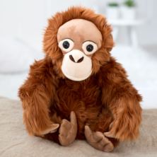 Orangutan