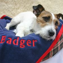 Large Personalised Pet Blanket