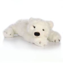 Large Polar Bear