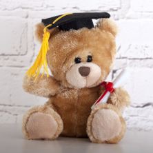Pipp The Graduation Bear