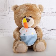 Pipp The Birthday Bear