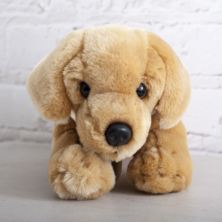 Honey Labrador Soft Toy