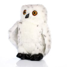 Snowy Owl
