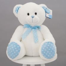 Baby Boy Teddy Bear Soft Toy