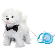 Walking Westie