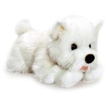 West Highland Terrier