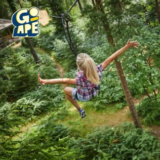 Treetop Challenge for Two Adults at Go Ape Product Image