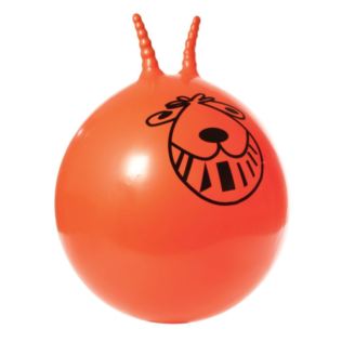 Bouncy Space Hopper Product Image