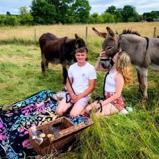 Donkey Picnic for Two at Dashing Donkeys Product Image