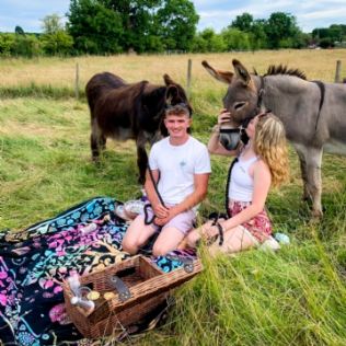 Donkey Picnic for Two at Dashing Donkeys Product Image