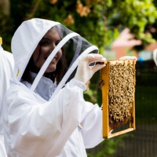 Hiver's London Beekeeping and Beer Tasting for Two Product Image