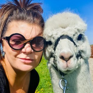 Alpaca Trekking Experience for Two at Eagle Heights Wildlife Foundation Product Image