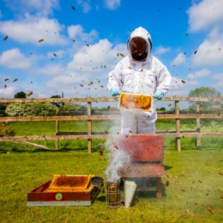 Half Day Beekeeping Experience For Two at More Bees Please Product Image