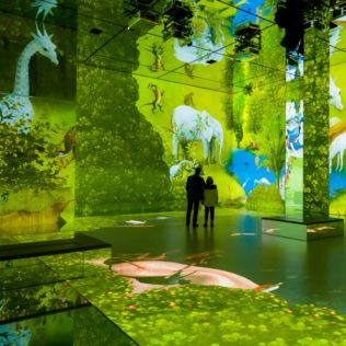 FRAMELESS Immersive Art Experience & 2 Course Meal Product Image