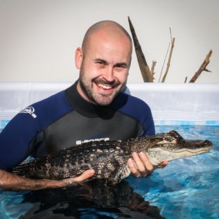 Swimming with the Crocodiles for Two Product Image