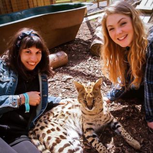 Meet the Meerkats, Servals and Lemurs at Hoo Zoo and Dinosaur World for Two Product Image