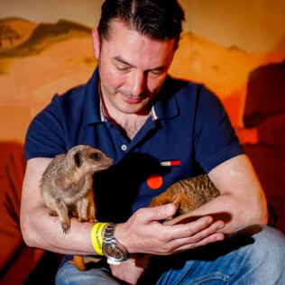 Meet the Meerkats, Servals and Lemurs at Hoo Zoo and Dinosaur World for Two Product Image
