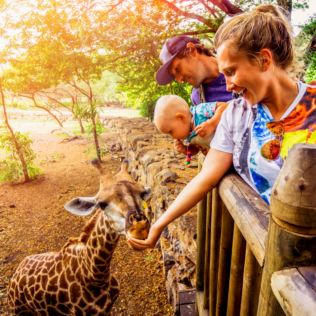 Family Entrance to Dudley Zoo Product Image