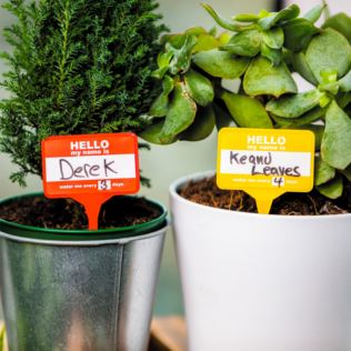 Plant Name Badges Product Image
