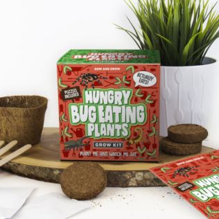 Sow and Grow - Bug Eating Plants Product Image