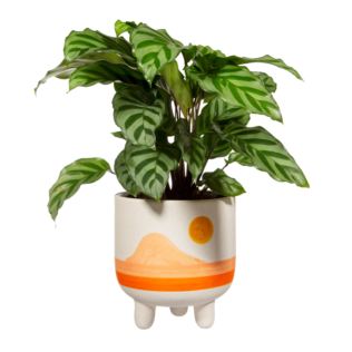 Hand Painted Sunset Planter Product Image