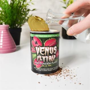 Venus Fly Trap in a Tin Product Image