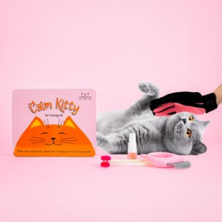 Calm Kitty Cat Massage Kit Product Image