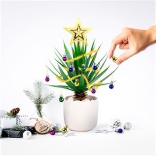 Christmas Festive Plant Baubles Product Image