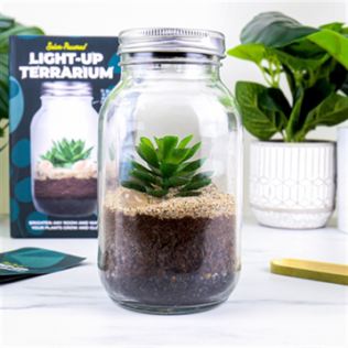 Solar Powered Light Up Terrarium Product Image