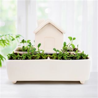 Self Watering Plant House Product Image