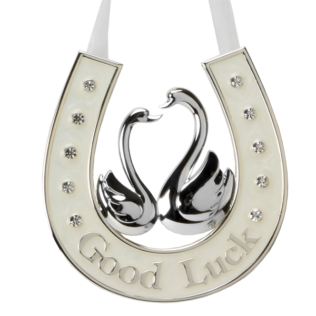 Good Luck Horse Shoe Product Image