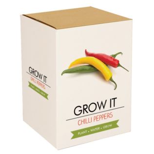 Grow Your Own Chilli Plant Product Image