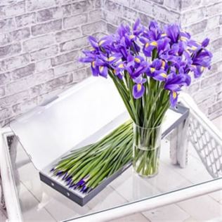 Iris Letterbox Flowers Product Image