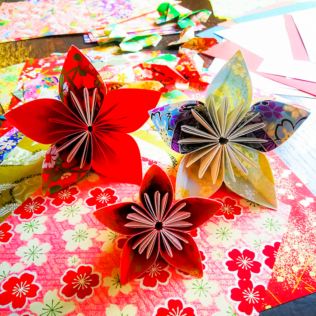 Become an Origami Master - For Two Product Image