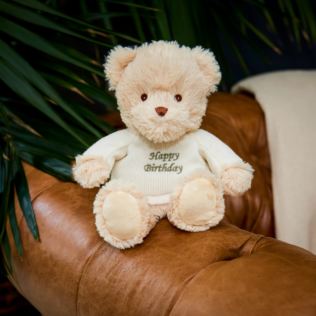 Warmies 9''  Happy Birthday Microwaveable Plush Bear Product Image