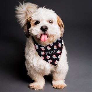 Personalised Santa Black Dog Bandana Product Image