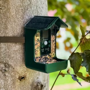 Bird Feeder with Integrated Camera Product Image