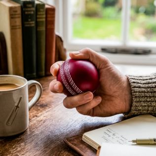 Cricket Ball Squeezy Stress Ball Product Image