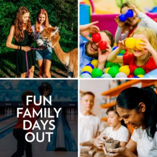 Fun Family Days Out Product Image