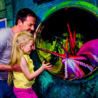 Family Entrance to SEA LIFE London Aquarium & Meal at Las Iguanas Product Image
