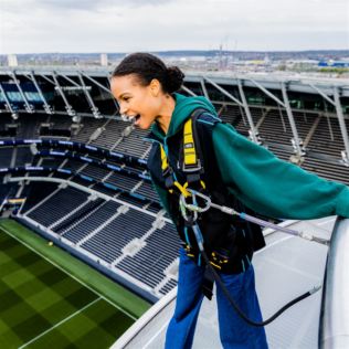 Tottenham Hotspur Stadium Dare Skywalk Product Image