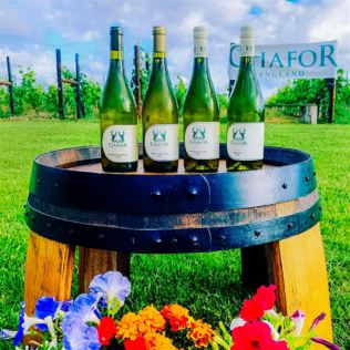 Vineyard Tour and Tasting at Chafor Wine Estate Product Image