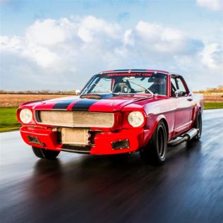 Mustang GT350 Thrill Product Image