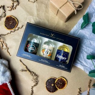 Hampton Court Spirits Mini Taster Craft Gin & Rum Gift Set Product Image